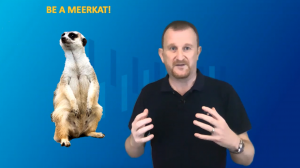 In this video we explain how we can learn more from meerkats than we can ostriches and hopefully avoid the need for mediation!