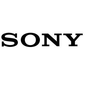 Company Logo 6